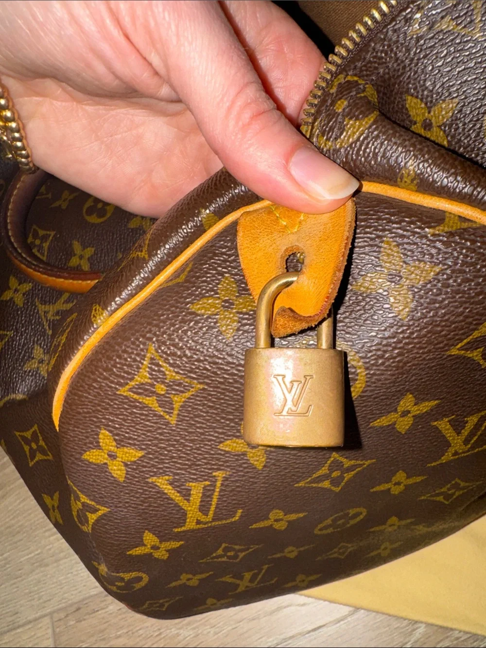 Louis Vuitton classic louis